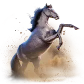 Arabian Stallion TikTok Gift WebP