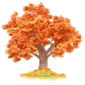 Autumn Leaves TikTok Gift WebP