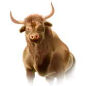 Bull TikTok Gift WebP