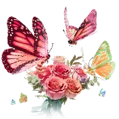 Butterfly for You TikTok Gift WebP