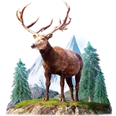 Carpathian Deer TikTok Gift WebP