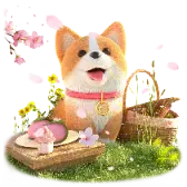 Cooper Picnic TikTok Gift WebP