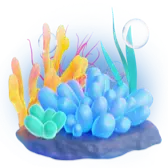 Coral TikTok Gift WebP