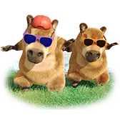 Dancing Capybaras TikTok Gift WebP