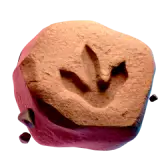 Dinosaur footprint TikTok Gift WebP