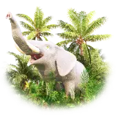 Elephant Nature Reserve TikTok Gift WebP