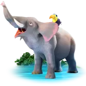 Ellie the Elephant TikTok Gift WebP