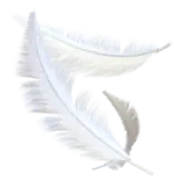 Feather Flock TikTok Gift WebP