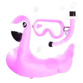 Flamingo Groove TikTok Gift WebP