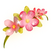 Flower Headband TikTok Gift WebP