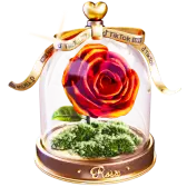 Forever Rosa TikTok Gift WebP