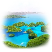 Four King TikTok Gift WebP