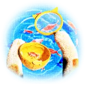 Goldfish Scooping TikTok Gift WebP