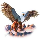 Griffin TikTok Gift WebP