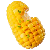 It’s corn TikTok Gift WebP