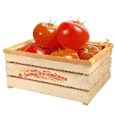 Juicy Tomato TikTok Gift WebP