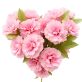 July Love TikTok Gift WebP