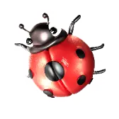 Ladybug TikTok Gift WebP