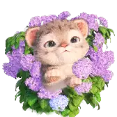 Lily and Hydrangea TikTok Gift WebP