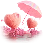 Love Shelter TikTok Gift WebP