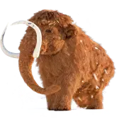 Mammoth TikTok Gift WebP