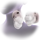 Massage for You TikTok Gift WebP