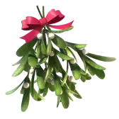 Mistletoe TikTok Gift WebP