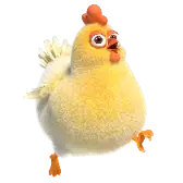 Naughty Chicken TikTok Gift WebP