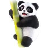 Panda Climb TikTok Gift WebP