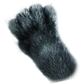 Panther Paws TikTok Gift WebP