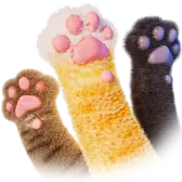 Pawfect TikTok Gift WebP