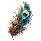 Peacock Feather TikTok Gift WebP