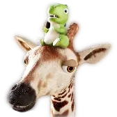 Power Couple TikTok Gift WebP