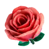 Rosa TikTok Gift WebP