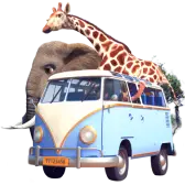 Safari Park TikTok Gift WebP