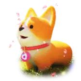 Sakura Corgi TikTok Gift WebP