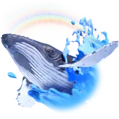 Sam the Whale TikTok Gift WebP