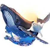 Seal and Whale TikTok Gift WebP
