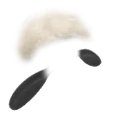 Shaun's head TikTok Gift WebP