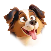 Shepherd TikTok Gift WebP