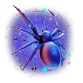 Spider TikTok Gift WebP