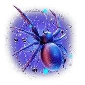 Spider on web TikTok Gift WebP