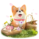 Spring Picnic TikTok Gift WebP
