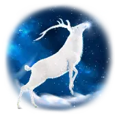 Star Hunt TikTok Gift WebP