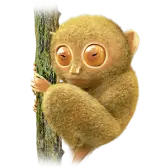 Tarsier TikTok Gift WebP