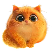 Tofu TikTok Gift WebP