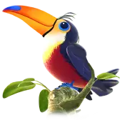 Toucan TikTok Gift WebP