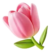 Tulip TikTok Gift WebP