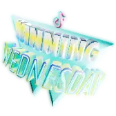Winning Wednesday TikTok Gift WebP
