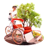 Xich lo TikTok Gift WebP